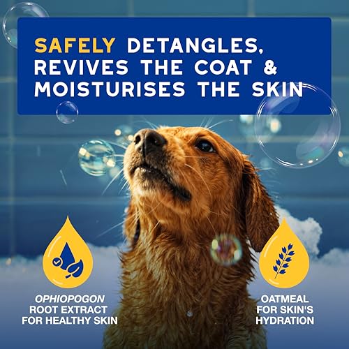 Douxo Spa - Oatmeal Dog Conditioner, 250 ml, Safely Detangles, Revives the Fur and Moisturises the Skin, Leaves the Coat Soft, Silky and Radiant, pH Balanced and Hypoallergenic Skin-Friendly Formula