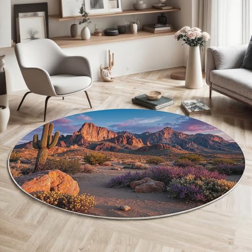 Tapis rond 200cm lavable en machine avec dossier antidérapant et poil bas doux
