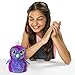 Hatchimals Glittering Garden - Hatching Egg and Interactive Sparkly Penguala by Spin Master