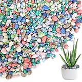 HappyFiller Colored Pea Gravel, Indoor Plants Succulent Cactus Topper Dressing Pebbles Fairy Garden Terrarium,Polished Mini Stones 3-5mm for Aquarium Fish Tank,Vase Filler,Resin Arts Crafts,0.88 LB