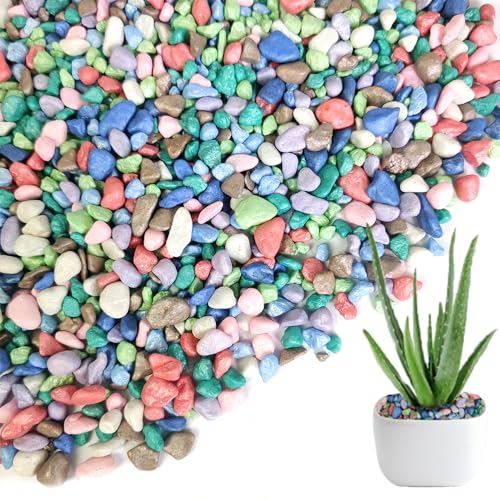 HappyFiller Colored Pea Gravel, Indoor Plants Succulent Cactus Topper Dressing