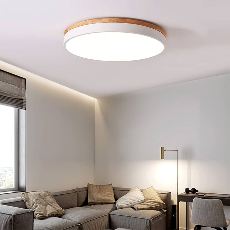 ARTWORKSTUDIO Probe-ceiling light L グレー Amazon.com: GYCMDSCA Led Ceiling Light Square Acrylic