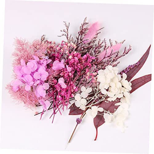 Flores secas para decoración y DIY 1 bolsa miniatura 6