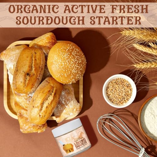 Image of Living Dough - 55 Year Old Amish Friendship Sourdough Starter Culture - Sweet and Organic Sourdough Starter for Baking - For Artisan Bread, Pizza Dough, Waffles & More