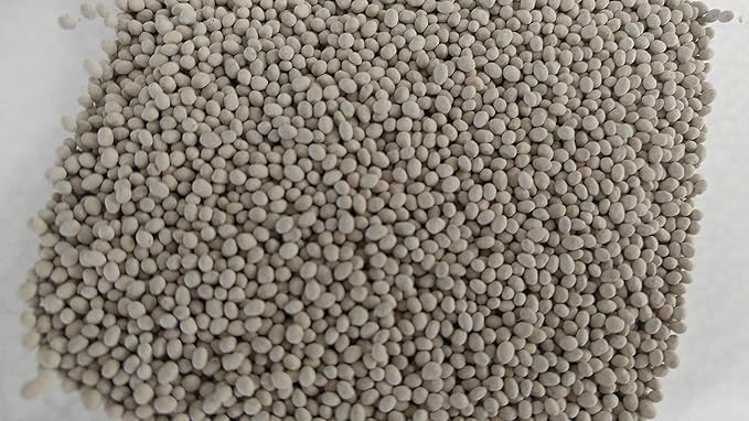 1,000 Crimson Red Clover Bee Attractants Wildlife Food Plot