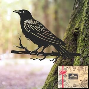 Raven decormetal birds yard decormetal yard art outdoor and gardentree decorations outdoormetal yard animalsblack crows halloween decorgarden patio decor  urban country home decor