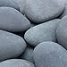 Margo 20lb. Landscape Mulch Decorative Rock Feature Medium Mexican Beach Pebble 2 in. to 3 in.
