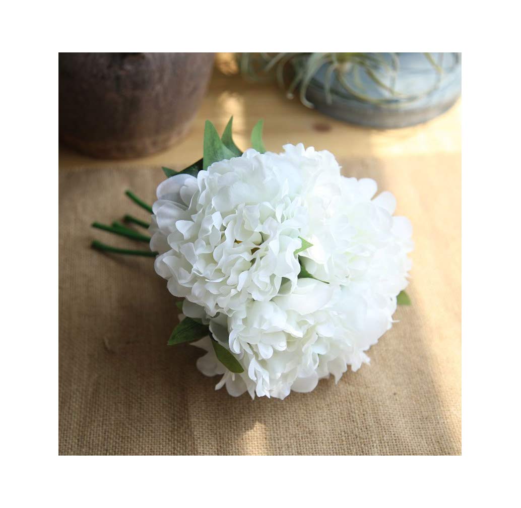 product_img5