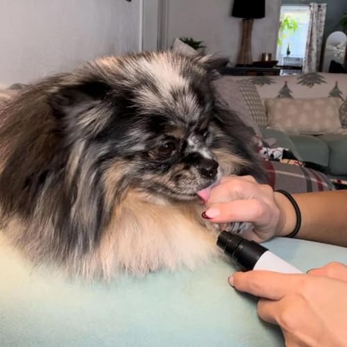 Orthopfote Ortho Trimmer Hund Nägel, OrthoTrimmer Pro, Krallenschleifer für Hunde, Wenig & Sanft Vibration Für Gleichmäßiges Kürzen, Effizient Pfotenpflege Zuhause für Hunden