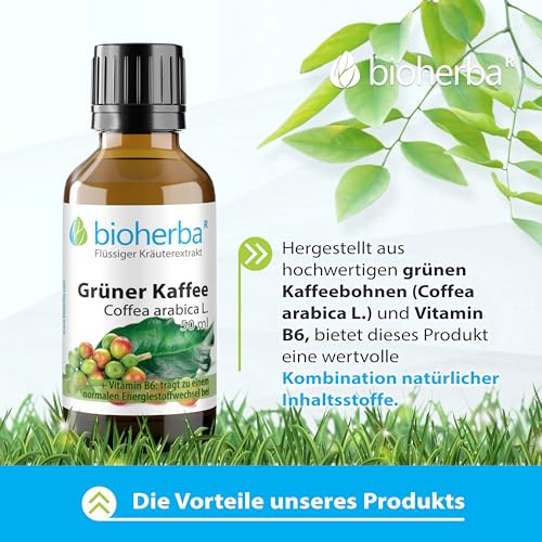 Grüner Kaffee Tropfen, Tinktur 50 ml – Auszug aus Coffea arabica L., ergänzt mit Vitamin B6, Vegan von BIOHERBA PZN 17186687 Coffea arabica L., ergänzt Coffee Grüner Kaffee Tropfen