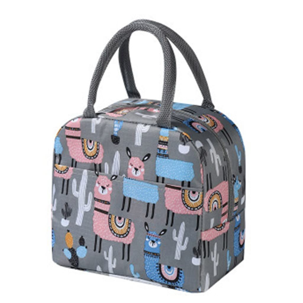 Lunch Box for Men Women Insulated Lunch Bag Reusable Lunch Tote Soft Sided Lunch Container Leakproof Keep Warm