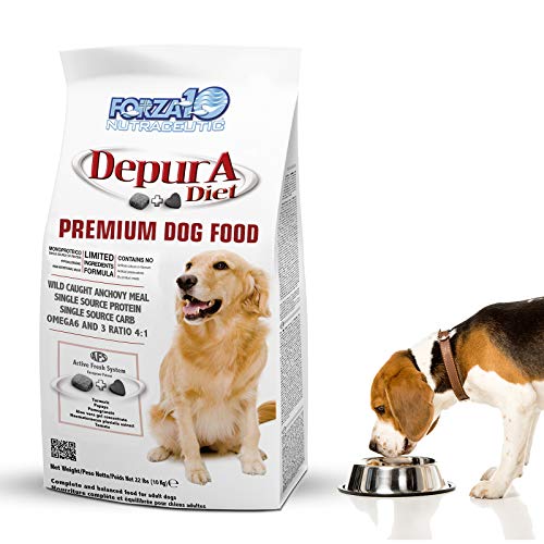 10 Best Vet Dog Foods Unbiased Review & What to Know