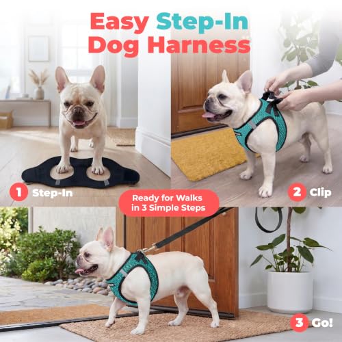 Image of Voyager Step-in Air Dog Vest Harness - Turquoise 2-Tone, Small | 14.5-16 inch in Chest, Reflective Bands, All Weather Breathable Air Mesh, Cats Compatible, Lightweight, Fast Drying