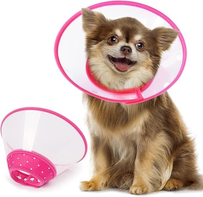 Image of Pets Empire Adjustable Recovery Cone Collar for Dogs & Cats | Soft Protective Elizabethan E-Collar | Anti-Lick, Anti-Bite Recovery Collar After Surgery | Lightweight Pet Cone | Pink (L)