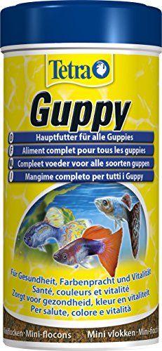 TETRA Guppy aliment complet pour guppies en format de 250ml