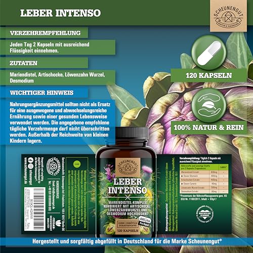 LEBER INTENSO® Leber Kapseln Hochdosiert - WICHTIG: Laborgeprüft mit Mariendistel, Artischocke, Löwenzahn, Desmodium +80% Silymarin +5% Cynarin 120Stk DE SCHEUNENGUT®