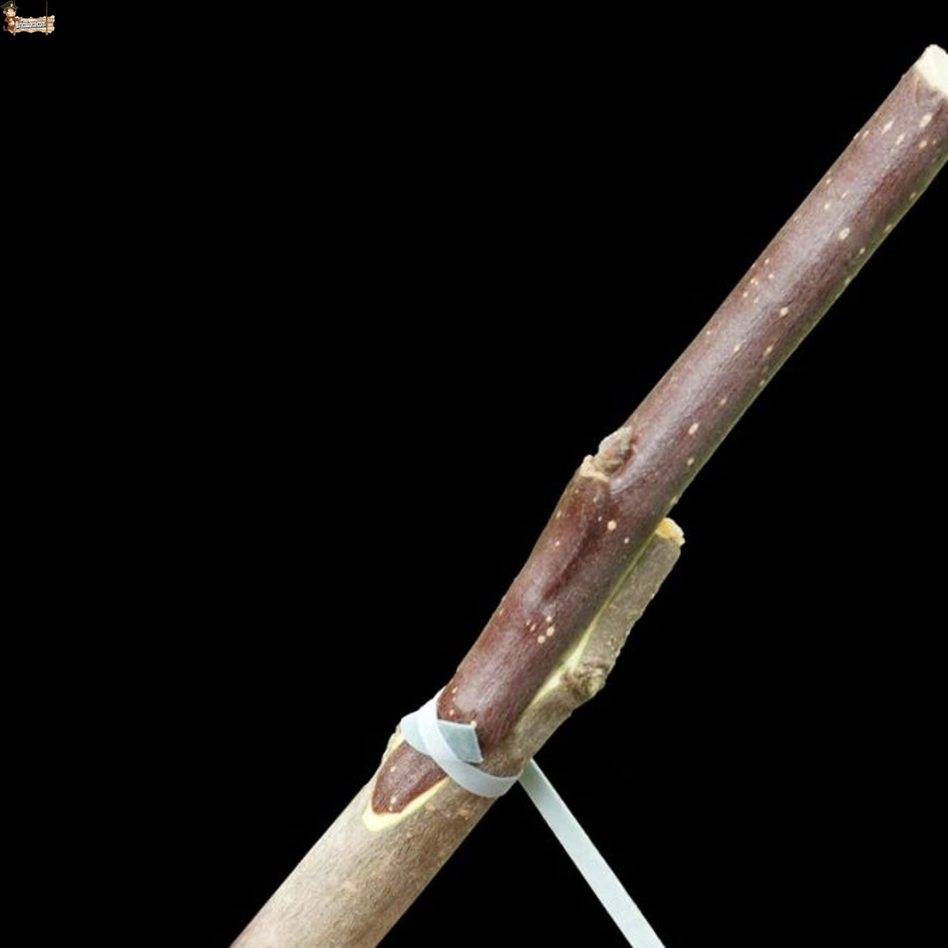 BricoLoco.com Gomas de injertar elásticas. 240x8 mm. 70 Gomas Cinta flexiband para injertos manuales en árboles, frutales, Plantas, sin máquina injertadora. Sustituye la Cuerda (100, 240x8 mm)