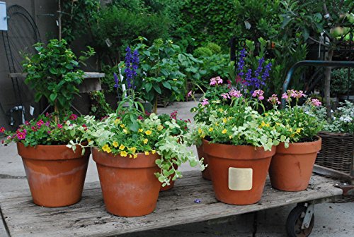 Fiberfix Rigid Patch -2"X8", 3"X3" And 5"X5" (3 Patches) #TOP2