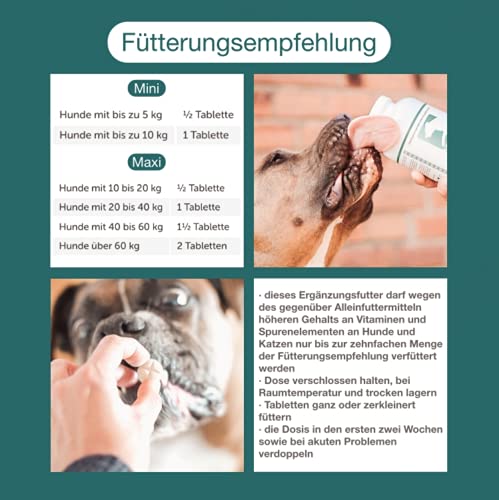 CaniMove Motion mini - 100 hochentwickelte Gelenktabletten für kleine Hunde, mit MSM, Hyaluronsäure, Gag, GLME, tierärztliche Rezeptur (100 Tabletten)