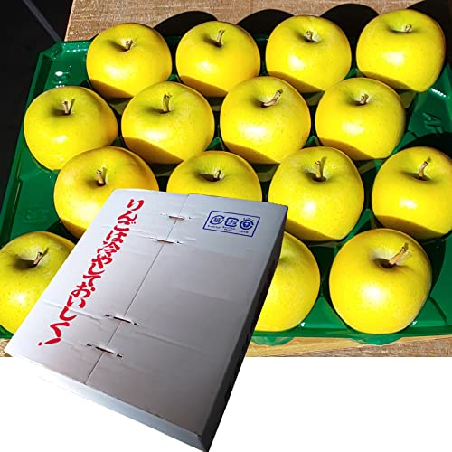 青森県産 贈答用(秀品)りんご 5kg箱 シナノゴールド 藤崎農園 ギフト