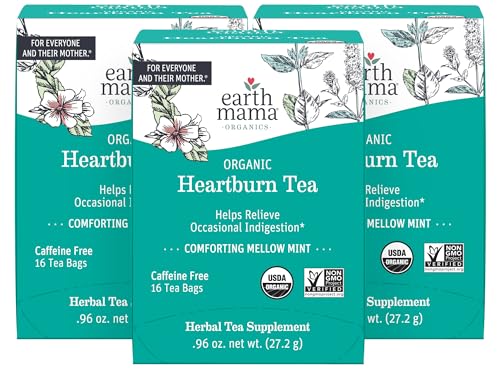 Earth Mama - Organic Heartburn Tea - 16 Teabags (3-Pack)