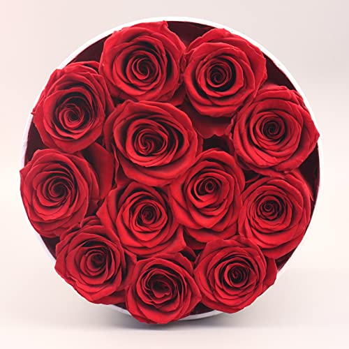 Sunia Eternal Rose, Rose Regalo per Lei 12 Rose
