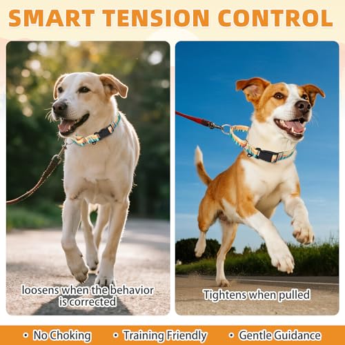 Image of Martingale Collar for Dogs for Small Medium Large Dogs, Soft Padded Nylon No Pull Dog Collar with Buckle, Adjustable No Slip Heavy Duty Durable Puppy Training Collar for Boys Girls, Orange M