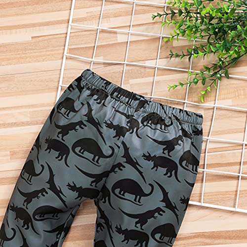Image of HINTINA Baby Boys Dinosaur Long Sleeve Hoodie Tops Sweatsuit Pants Winter Outfit Set