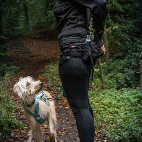 Nonstop DogWear - Trail Light Belt - Medium