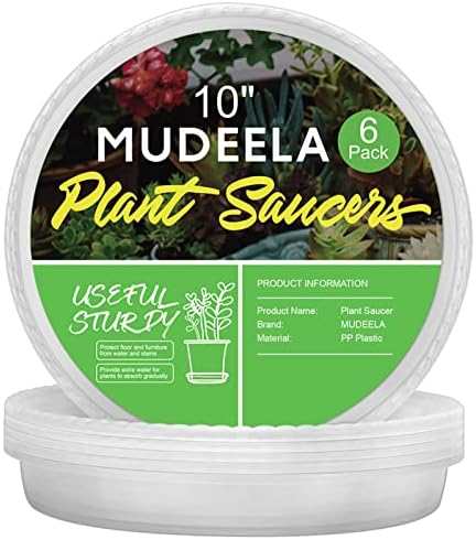 MUDEELA 6 Pack of 10 inch Plant Saucer, Durable Plastic Plant Trays for Indoors, Clear Plastic Flower Plant Pot Saucer, Made of Thicker, Stronger Plastic, with Taller Design