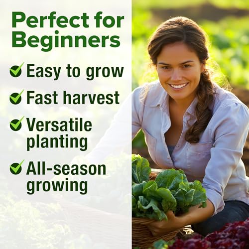 Image of HOME GROWN Lettuce Seeds 5 Variety Mix 3950+ Bulk Pack Heirloom Non-GMO, High Germination, Romaine, Bibb, Buttercrunch, Iceberg, Black Seeded Simpson, Indoor Outdoor Hydroponic Garden (Lactuca sativa)