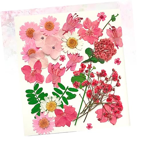 30 pcs Materiales para DIY Flores Presionadas Reales miniatura 4