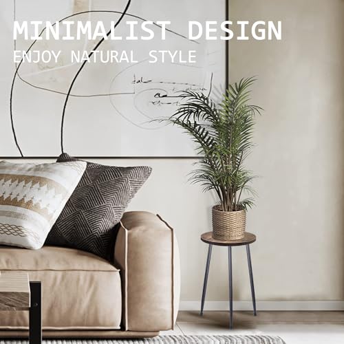 MUAEEOK Indoor Plant Stand, Mid Century Plant Stand Plant Table for Flower Pots Heavy Duty Metal Tall Plant Holder - Image 2
