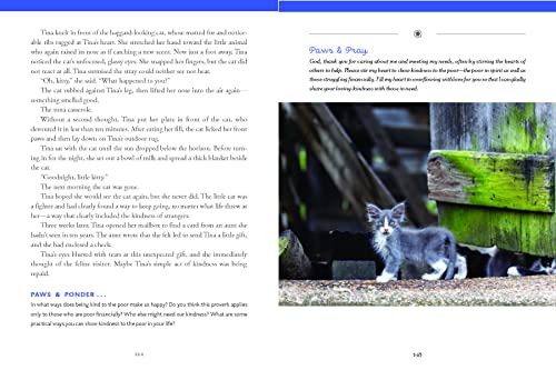 Pawverbs for a Cat Lover's Heart: Inspiring Stories of Feistiness, Friendship, and Fun - Image 6