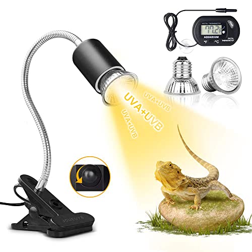 {10} Best Heat Lamps for Bearded Dragon (Buyer's Guide)