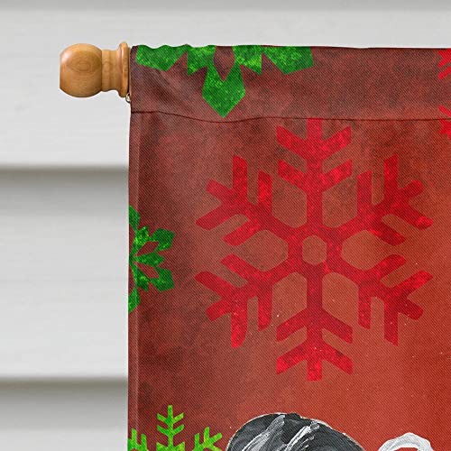 Drapeau Chien chinois à crête grand format anti-décoloration pour façade de Noël - 4