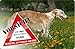 Produktbild +++ BARSOI Barzaia Borzoi - Metall WARNSCHILD Schild Hundeschild Sign - BRS 02 T3