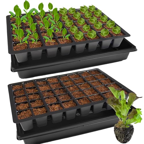 KRONLY Lot de 2 plaques de Culture Solides avec Soucoupe 80 Trous de Plantation - Plaque de semences pour la Culture
