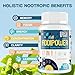 17-in-1 Brain Supplement for Memory and Focus | Nootropic Brain Supplement for Mental Clarity, Concentration, Alertness | Natural Nootropics with Herbal Extracts, Vitamins & Amino Acids (60 Tablets)