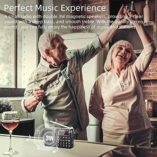 PRUNUS L-258 Small Radio Portable and Mains, AM(MW)/SW/FM Radio Rechargeable with Bass Speaker, Large Button and Display. Stores Stations Automatically.(NO Manual Memory Stations Function)