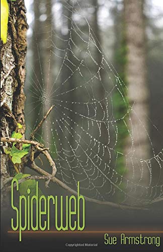 Spiderweb: Book 3 of the Alleycat series