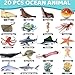 20 Pcs Ocean Animal Toy with Educational Booklet, Plastic Sea Animal with Gift Box, Mini Sea Creature Figures for Kids Age 3+, Birthday Gift, Ocean Theme Party Favor, Water Bath Toy for Toddler