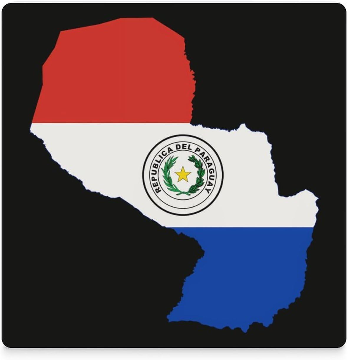 Flag Map of Paraguay Funny Ceramic Coasters for Drinks Absorbent Cup Holder Tabletop Protector with Cork Base