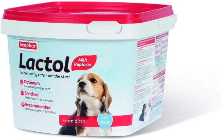 Beaphar Lactol Newborn Puppy Dog Milk Food with DHA, Vitamins & Minerals, Puppy Milk Replacer, Free Lactol Feeding Set - 400g (Pack of 2)