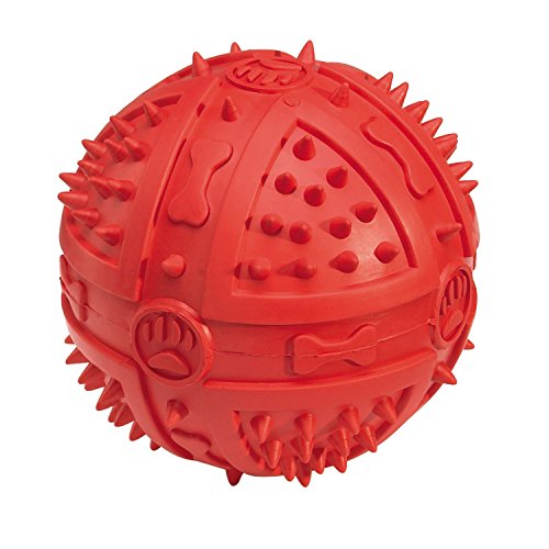 Toys For Blind Dogs Blind Dog Toys