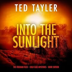 Into the Sunlight cover art
