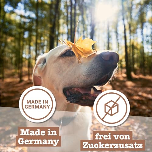 Chewies Hundeleckerli MAXI Mix 2 Lamm, Wild & Lachs Knöchelchen Training - 3 x 200 g - Fleisch Softies ohne Zucker - Hundesnacks mit hohem Fleischanteil (600 g)
