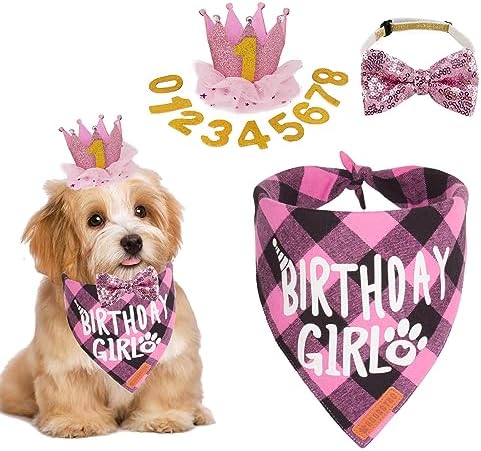 ADOGGYGO Dog Birthday Party Supplies, Multi Size Offered, Birthda...