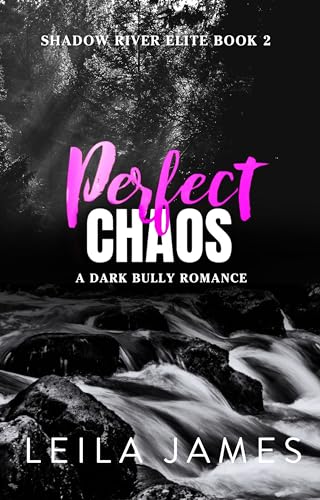 Perfect Chaos (Shadow River Elite Book 2) (English Edition)