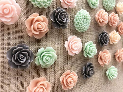 24Pcs Decorative Pushpins,Cork Board Tacks,Bulletin Board Tacks,Thumb Tack Decorative For Corkboard, Office Organization Or Home #TOP2